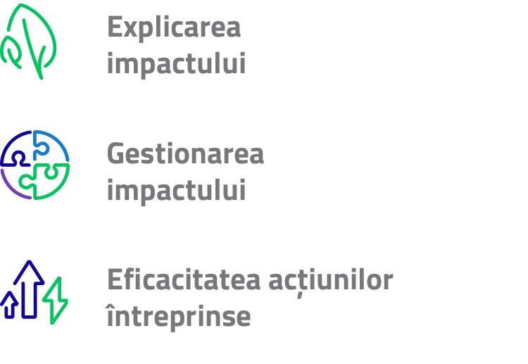 Explicarea impactului Gestionarea impactuluiEficacitatea acțiunilor întreprinse